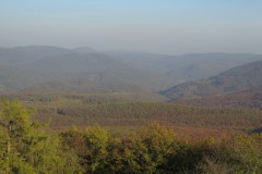 IMG_0129