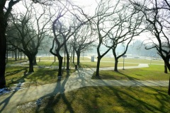 image1 image1