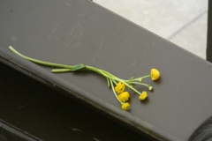 P1060351