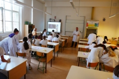 P1020666