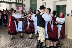 IMG_0900