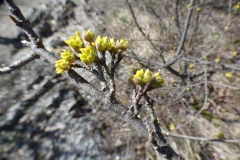 P1170241