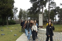 DSCF1166