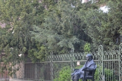 DSC5343