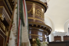 DSC5495