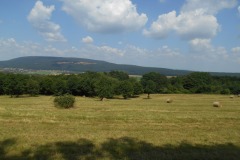 DSCN5571