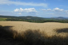 DSCN5579