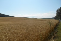 DSCN5586