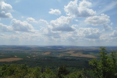 DSCN5606