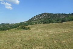 DSCN5612