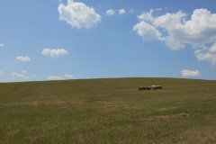 DSCN5651