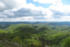 IMG_3864