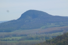 2025-04-09_029