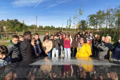 d71be7d4-422f-462b-bbe5-32144b263063-1