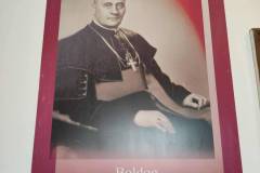 dafadafd-e567-4219-8dd7-e0480a86a3dd