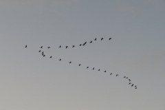 564733539_1292261486030027_3246307564970422883_n-2