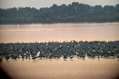 565198840_1292260879363421_4776401833871715798_n-2