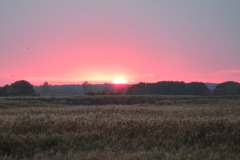 565941729_1292261512696691_4088911061216766347_n