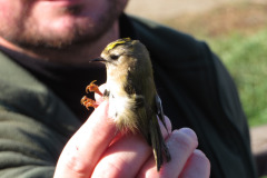 566204153_1292260196030156_748898958530952424_n-2