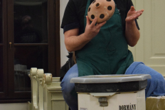 DSC_0088_csirkeitato