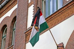 IMG_1288 IMG_1288